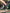 kids hiking boots with a protective toe cap for active play, walks and outdoor adventures [color:BlackGreen]