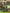kids hiking boots with waterproof protection for family hiking, camping, wet grass and light rain [color:NeonGreen]