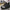 Steel toe protection in women's work shoes for everyday workplace impact coverage [color:Black]